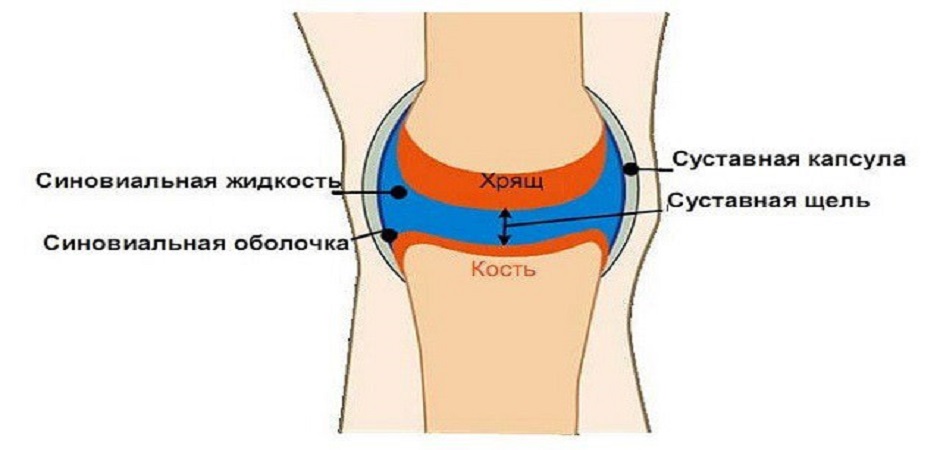 Лечение серозно-фибринозного синовита