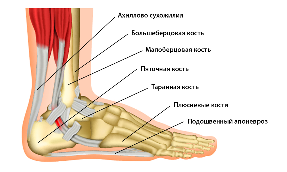 Боль в стопе: причины, лечение боли в ступне в Москве