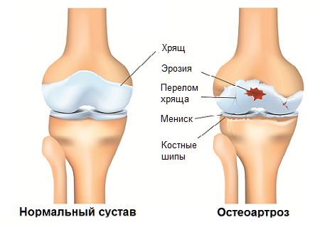 Войти на сайт